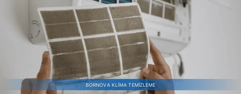Bornova İlçemi General Electric Klima Temizleme